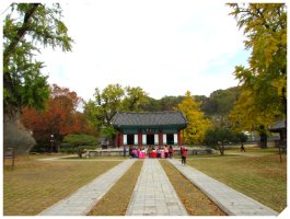 전주 향교 은행나무