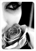 Autumn Rose [가을 장미] / Ernesto Cortazar