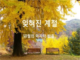 10월의 마지막 밤! "잊혀진 계절"을 아시나요♪