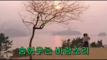 [노래감상/가사자막] 숨어 우는 바람 소리 - - 노래 이정옥