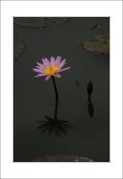 관곡지..3