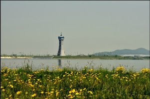 5월황금들녁 부안.김제여행