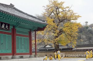 >카메라뉴스< 전주 향교의 가을 풍경