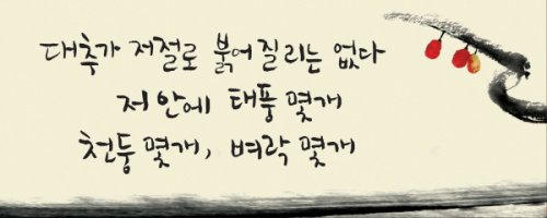 25년간 가장 사랑받은 광화문 교보문고 글판은..나태주 시인 &apos;풀꽃&apos; 시구 1위