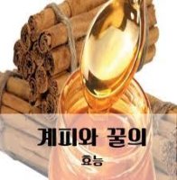 꿀과계피의효능/계피와 꿀의 만남의 기적