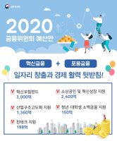 2020년 금융위 예산안 한 눈에 보기!