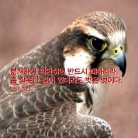 좀 잘못해도 벗은 벗이다