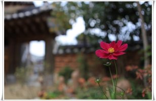 전주 전동성당.경기전
