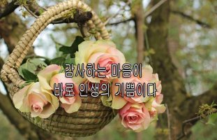 [좋은글] 감사하는 마음이 바로 인생의 기쁨이다