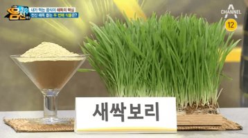 새싹나라 이미지