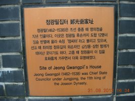 회현동 은행나무 이야기