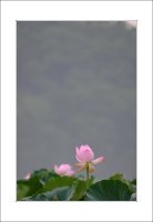 관곡지..4-5