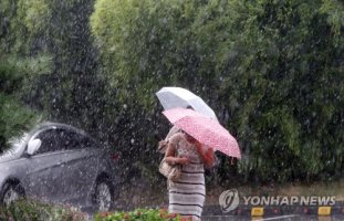 소나기 이미지