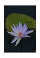 관곡지..9-14