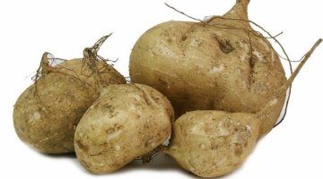 맥시코감자, 히카마, 얌빈의 효능