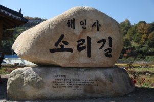 <b><font size="3">2019년 제71차 12월 경남 해인사 소리길과 송년의밤 신청</font></b>