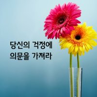 당신의 걱정에 의문을 가져라