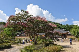 명재 고택