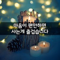 마음이 편하면 세상이 아름답다....