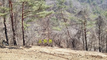 매매완료,자연인이 사는곳을 연상케하는 시냇물 흐르는 남향 강원도 평창부동산 토지매매 평창토지 전원주택지