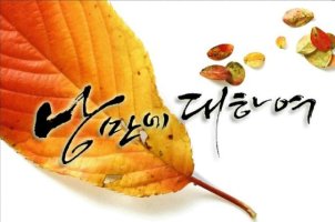낭만에대하여 이미지