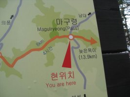 경북 영주 금양정사