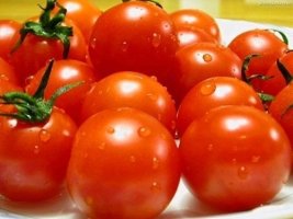 토마토 이미지