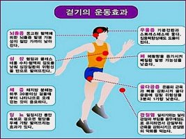 당신에게 훌륭한 의사와 약