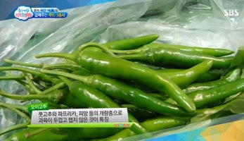 좋은아침 갈색지방 늘리는 흰강낭콩 다이어트
