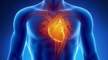 심장 건강법 10가지