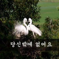 당신밖에 없어요