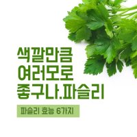 건강식품! 파슬리가루 효능 알아보자~