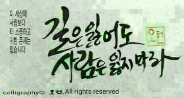 멋진 바보