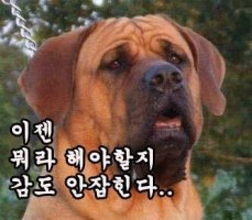 참 이미지
