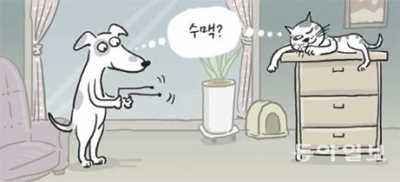 [안영배 전문기자의 풍수와 삶]개와 고양이의 식스센스