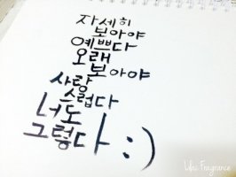 캘리그라피독학 :: 첫번째연습 모나미붓펜,세필붓펜