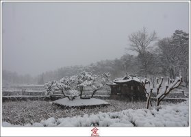 강릉 선교장의 설경