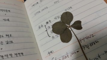 다이어리 속에 네잎클로버