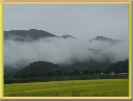 잘익어 가는 황금들녁~~