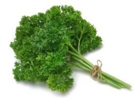 파슬리의 효능