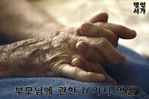 부모님에 관한 16가지 명언