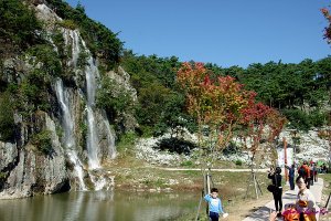 정읍 구절초축제, 임실 옥정호