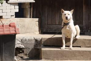 전주 전동성당