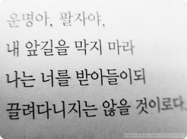 매일찬 이미지