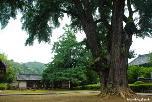 전주 자전거여행 - 전주전통한옥마을, 경기전과 덕진공원