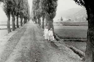 제가 방송에서 선별한 노래 목록입니다..청춘 브라보(도미),외나무 다리(최무룡),고향의 모정(이동근),코스모스 사랑(박재란),노들강변(차은희 버전)