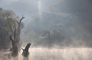 단풍 반영 그리고 물안개가 드리운 청송 주왕산 주산지