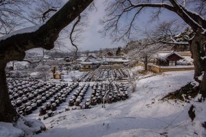 명재 고택(明齋古宅)