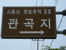 관곡지 연꽃