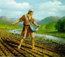 마르코(4.1~10) 씨 뿌리는 사람의 비유